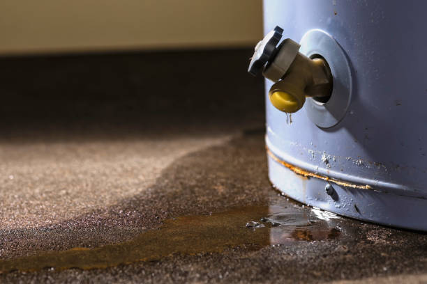 Best Commercial water damage restoration  in Hallsville, MO