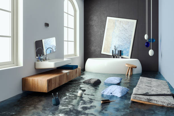 Best 24-hour water damage restoration  in Hallsville, MO