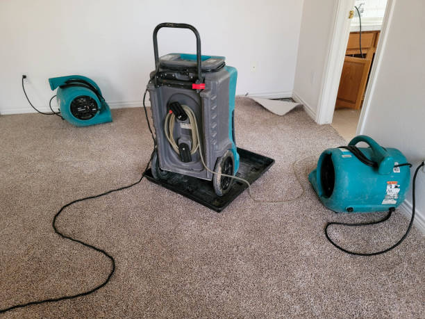 Best Ceiling water damage repair  in Hallsville, MO