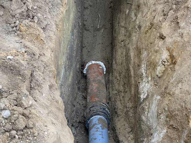 Best 24/7 water damage repair  in Hallsville, MO