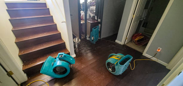 Best Flooded house restoration  in Hallsville, MO