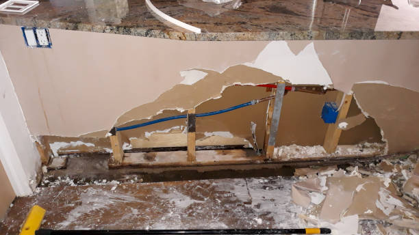 Best Local water damage restoration  in Hallsville, MO