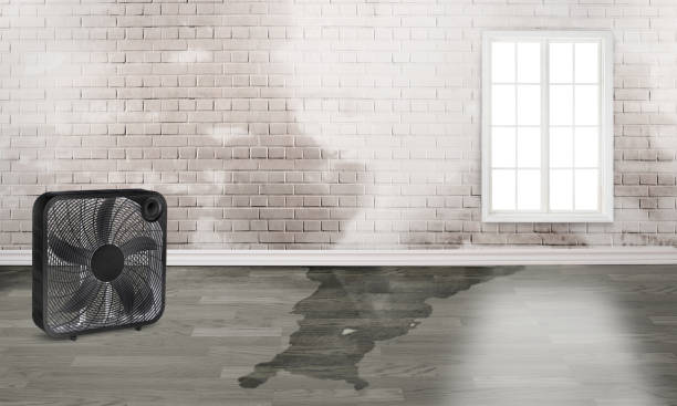 Water damage restoration insurance claims in Hallsville, MO