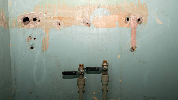 Best 24/7 water damage repair  in Hallsville, MO