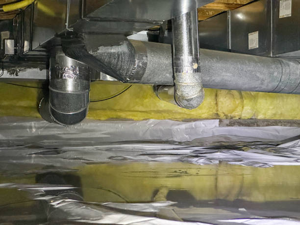 Best Local water damage restoration  in Hallsville, MO