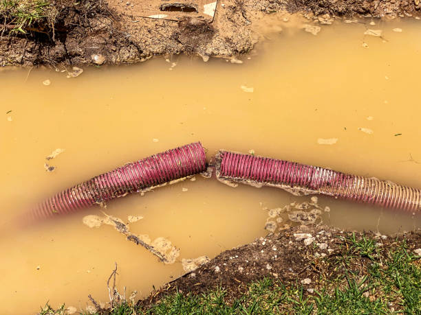 Best Water damage cleanup near me  in Hallsville, MO